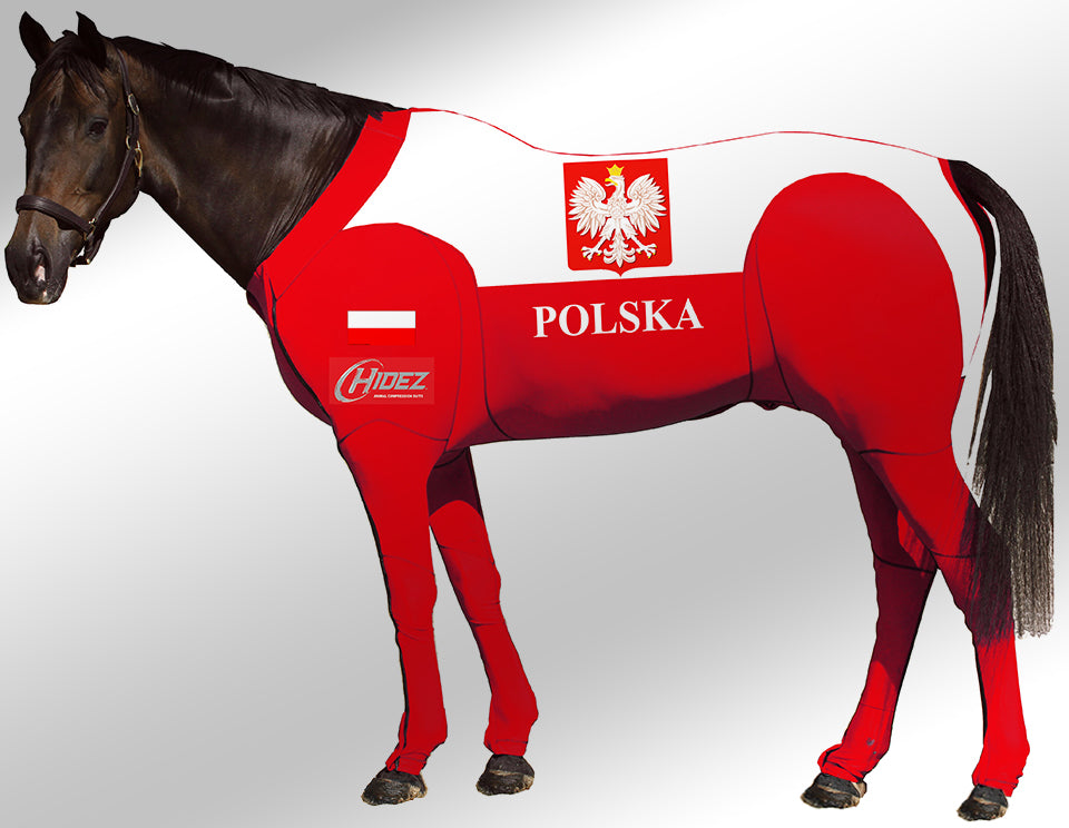 Hidez compression suit poland