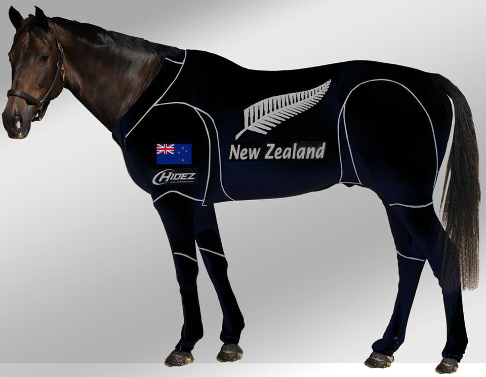 Hidez travel and recovery new zealand