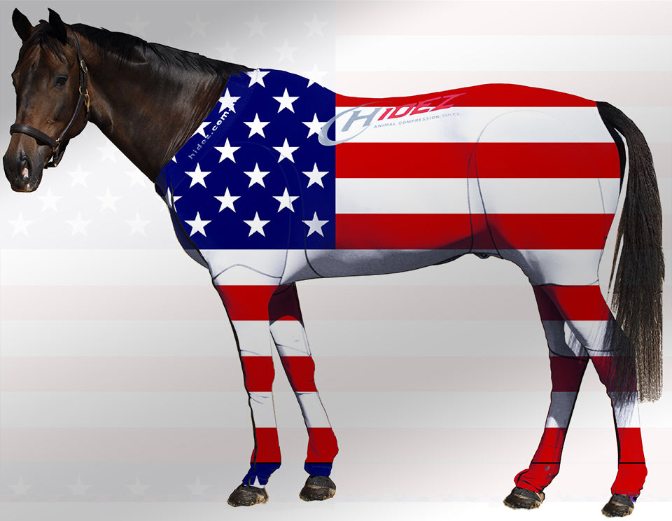Hidez travel and recovery usa