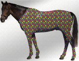 Hidez Travel and Recovery Suit Printed Flora