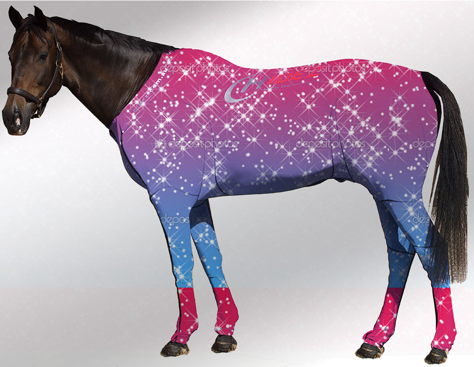 Hidez compression suit glitter