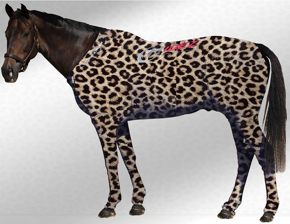 Hidez suit cheetah