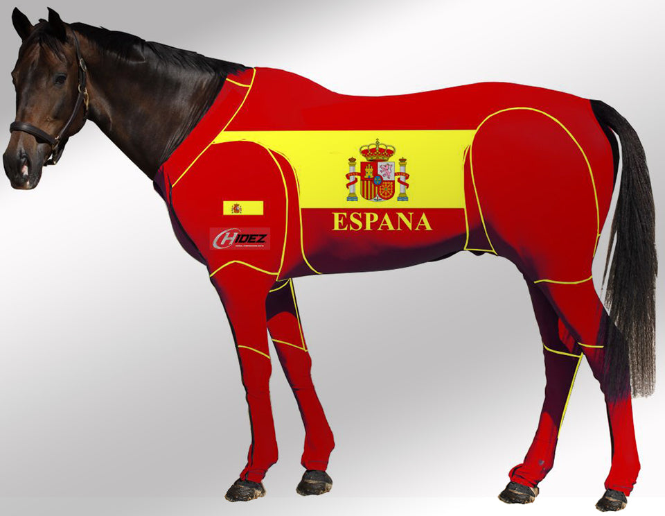 Hidez travel and recovery spain