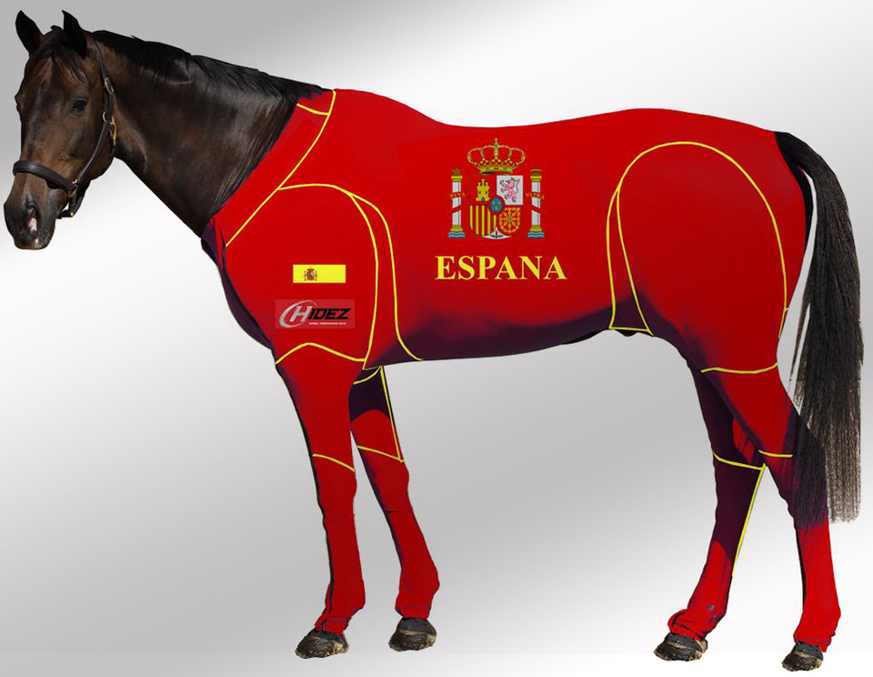 Hidez travel and recovery spain