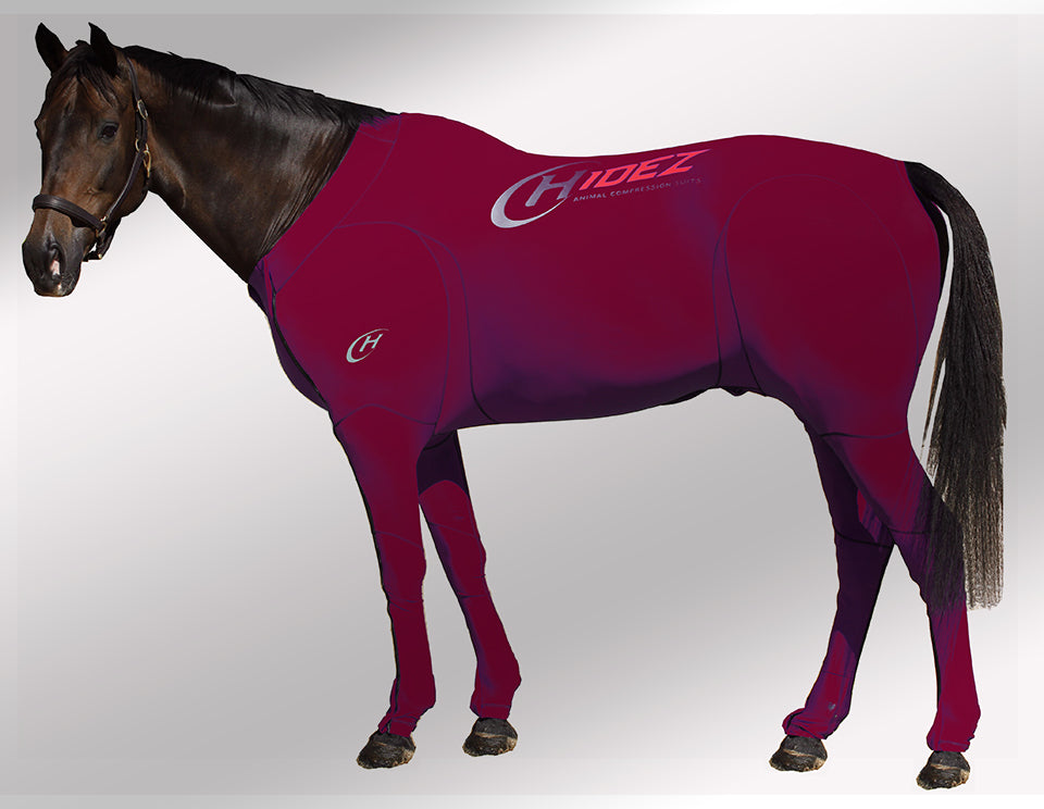 Hidez travel and recovery maroon