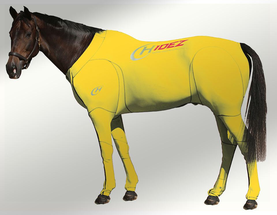 Hidez suit yellow
