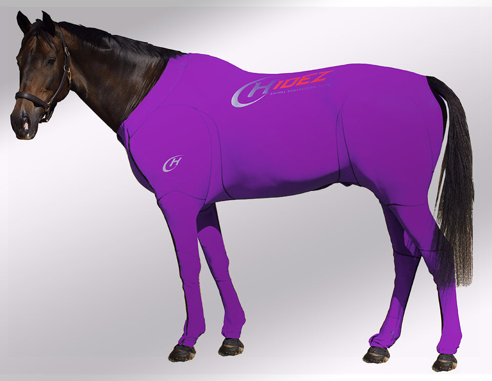 Hidez suit purple