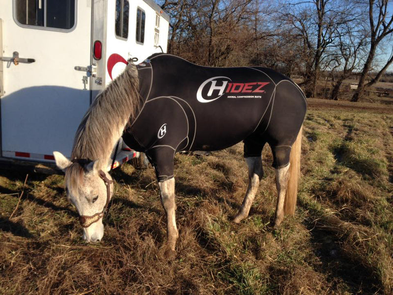 Hidez Equine Active Suit Black