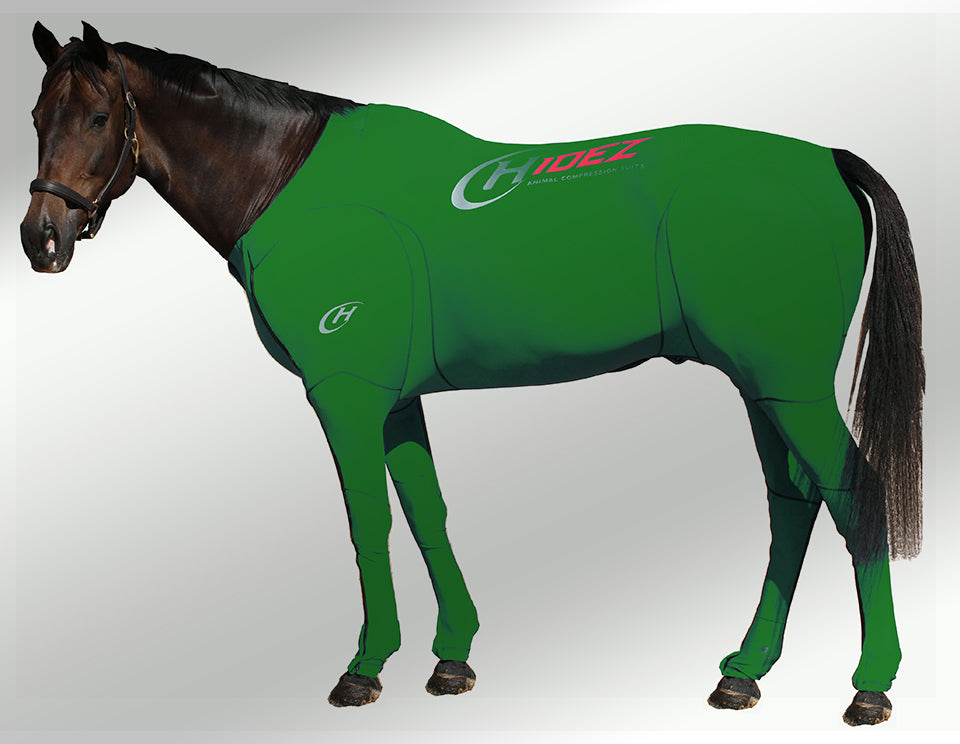 Hidez Travel and Recovery Suit Printed Green