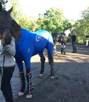 Hidez Equine Active Suit Blue