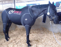 travel and recovery suit