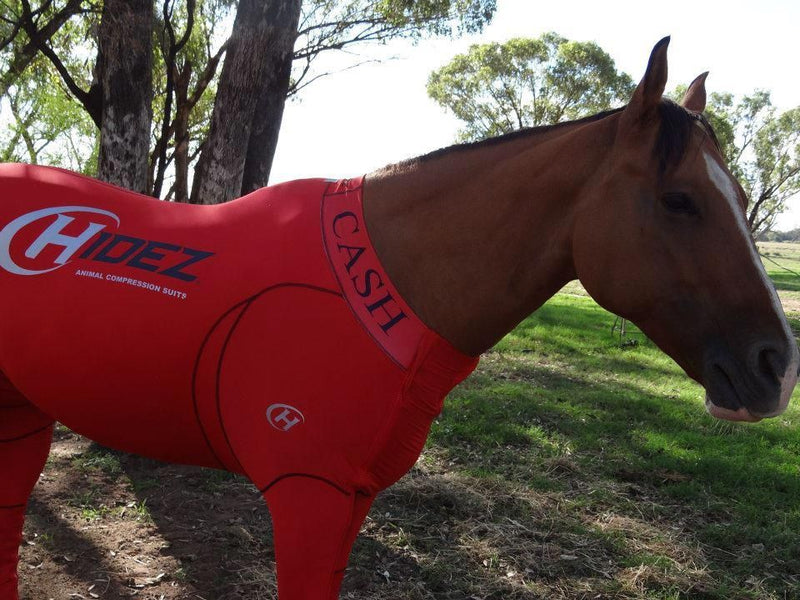 Hidez Travel and Recovery Suit Red