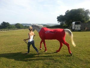Hidez Travel and Recovery Suit Red