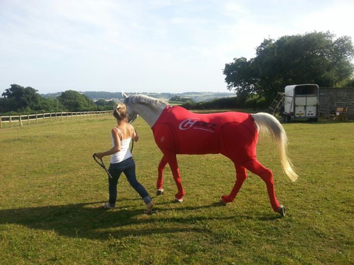 Hidez Travel and Recovery Suit Red