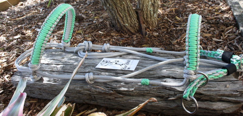 bitless riding halter