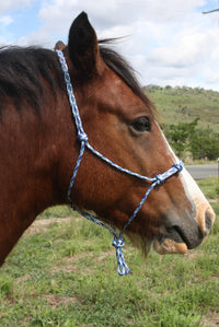 Rope Training Halter With 4 Knots Across Nose 6mm or 8mm
