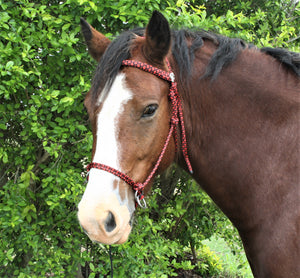 Bitless Bridle No Braid