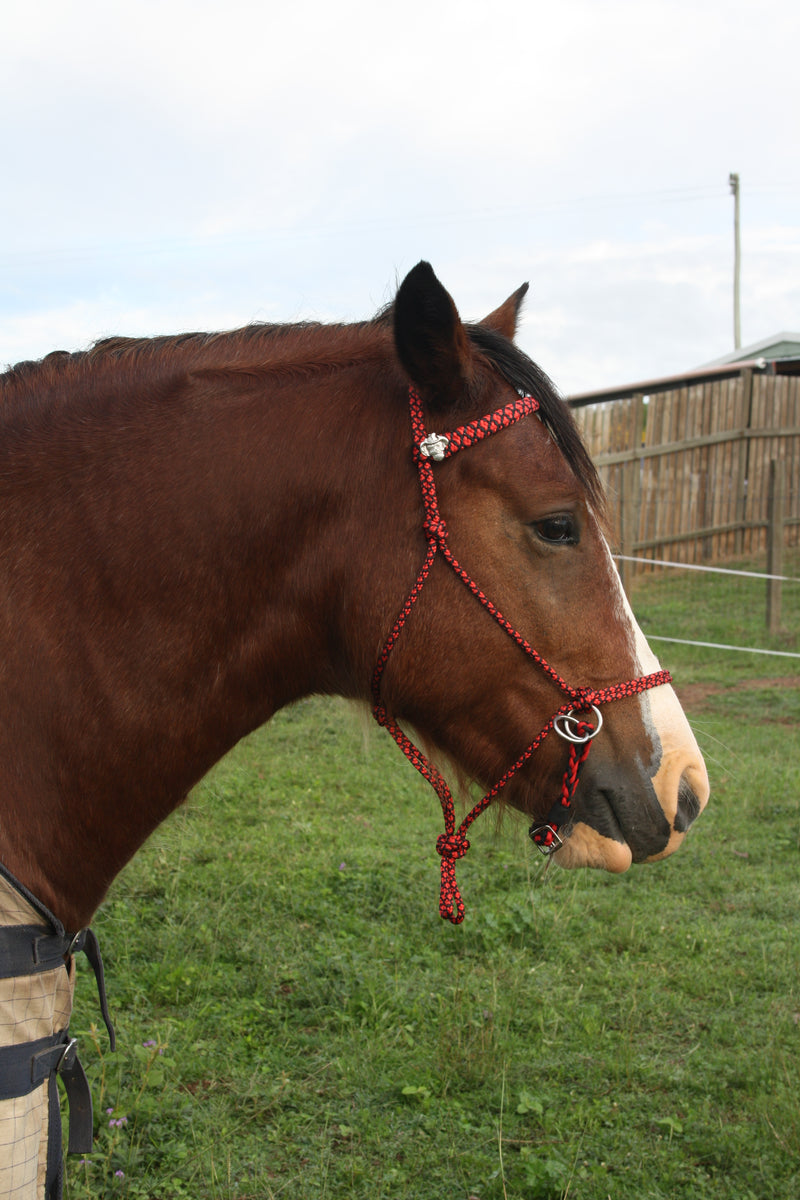 Rope Bitless Bridle