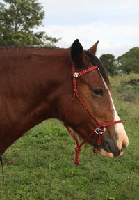 Bitless Bridle Rope
