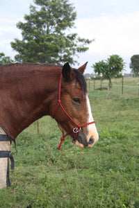 Bitless Bridle No Braid or Browband