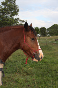 Bitless Bridle Rope 6mm