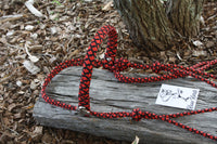 Bitless Bridle No Braid