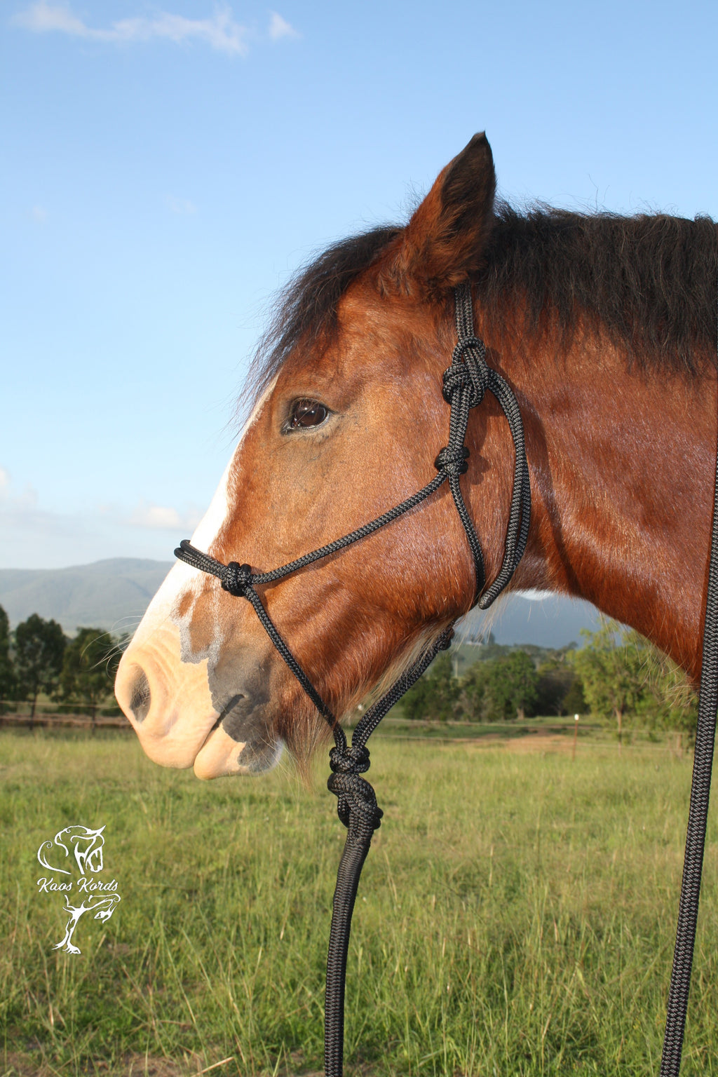 heavy duty halter horse 8mm