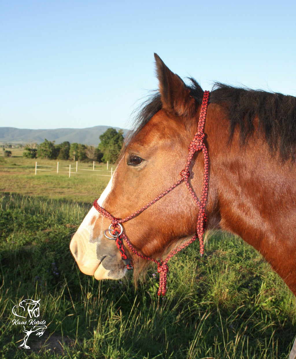 Bitless Bridle Rope chinstrap
