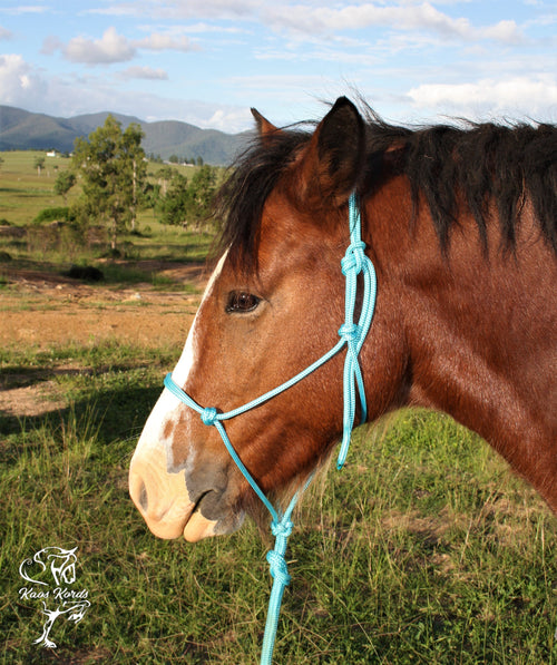 Rope Halter 6mm No Braid