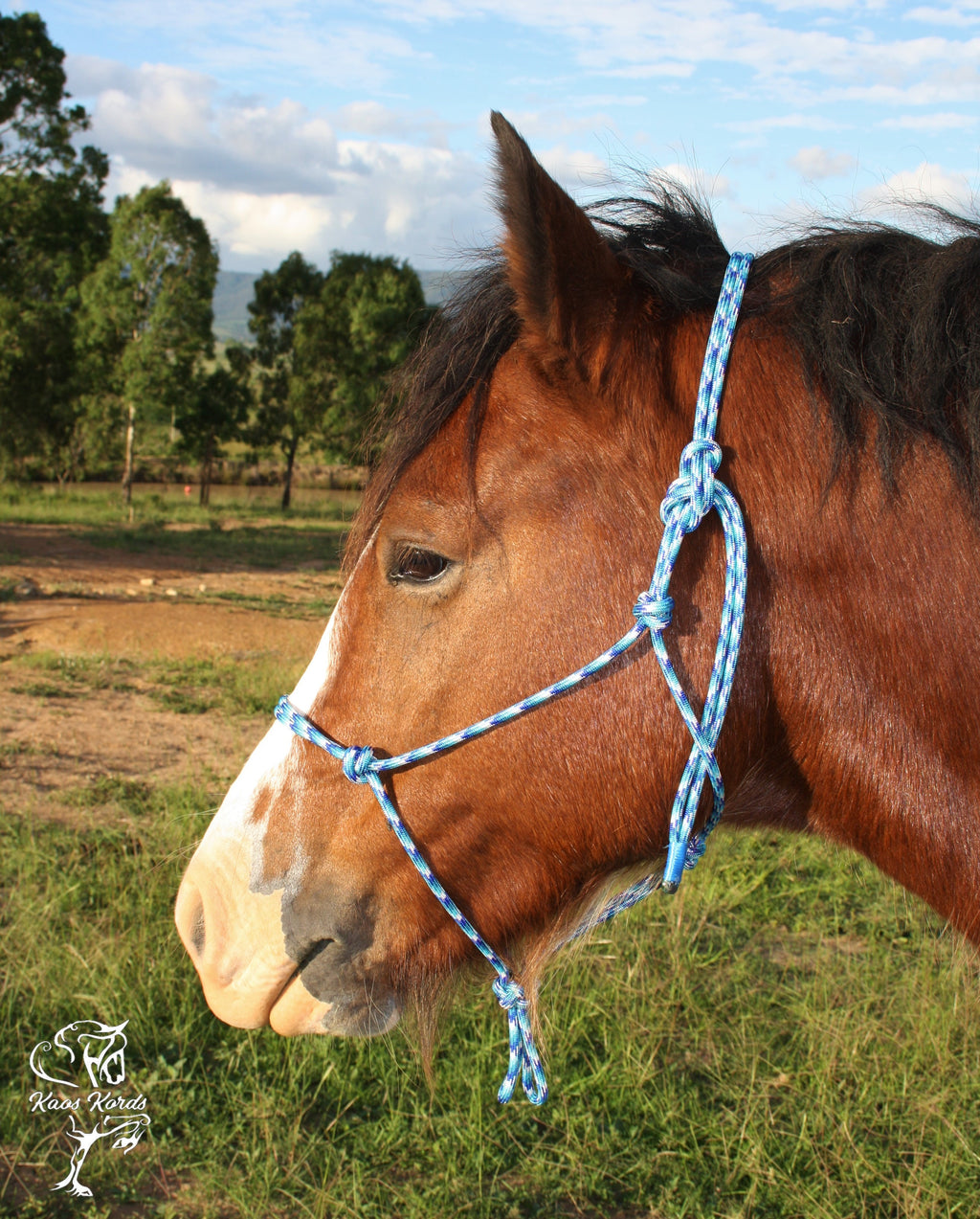 Paracord rope halter