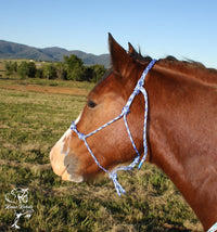 Rope Training Halter With 4 Knots Across Nose 6mm or 8mm