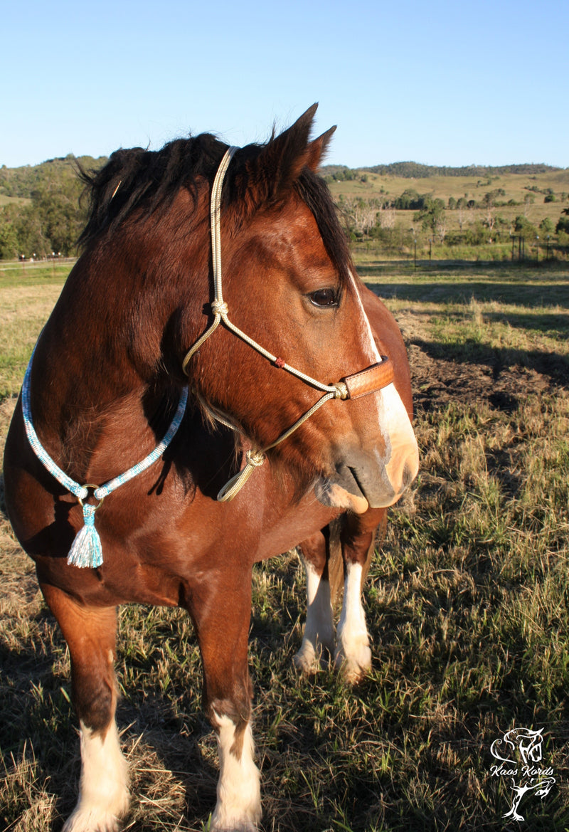 cordeo neck rope
