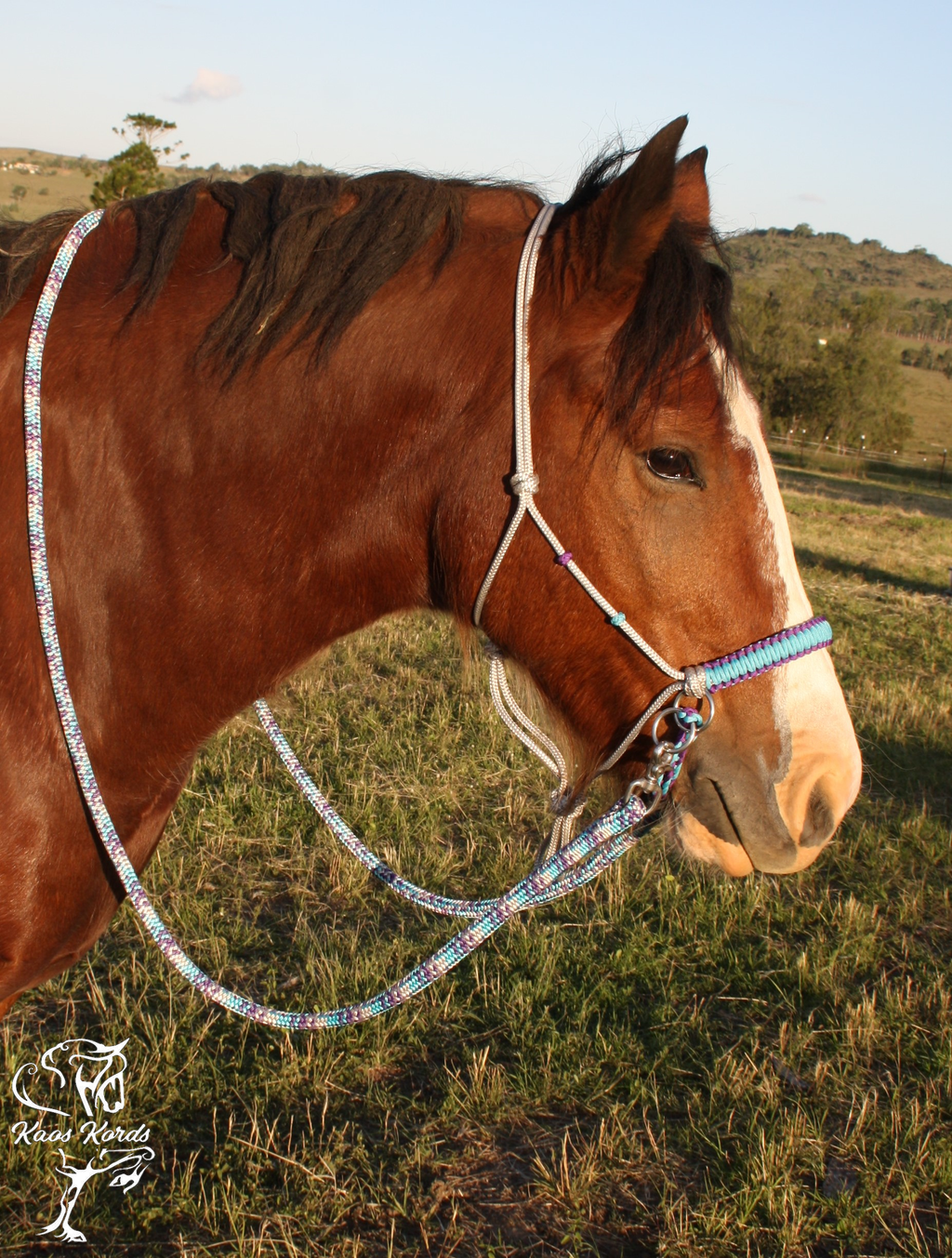 Bitless Bridle With Flat Braid and No Browband