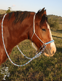 Bitless Bridle With Flat Braid and No Browband