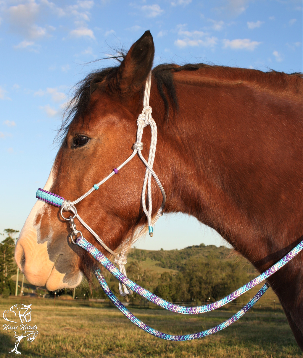 bitless bridle