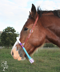 bosal