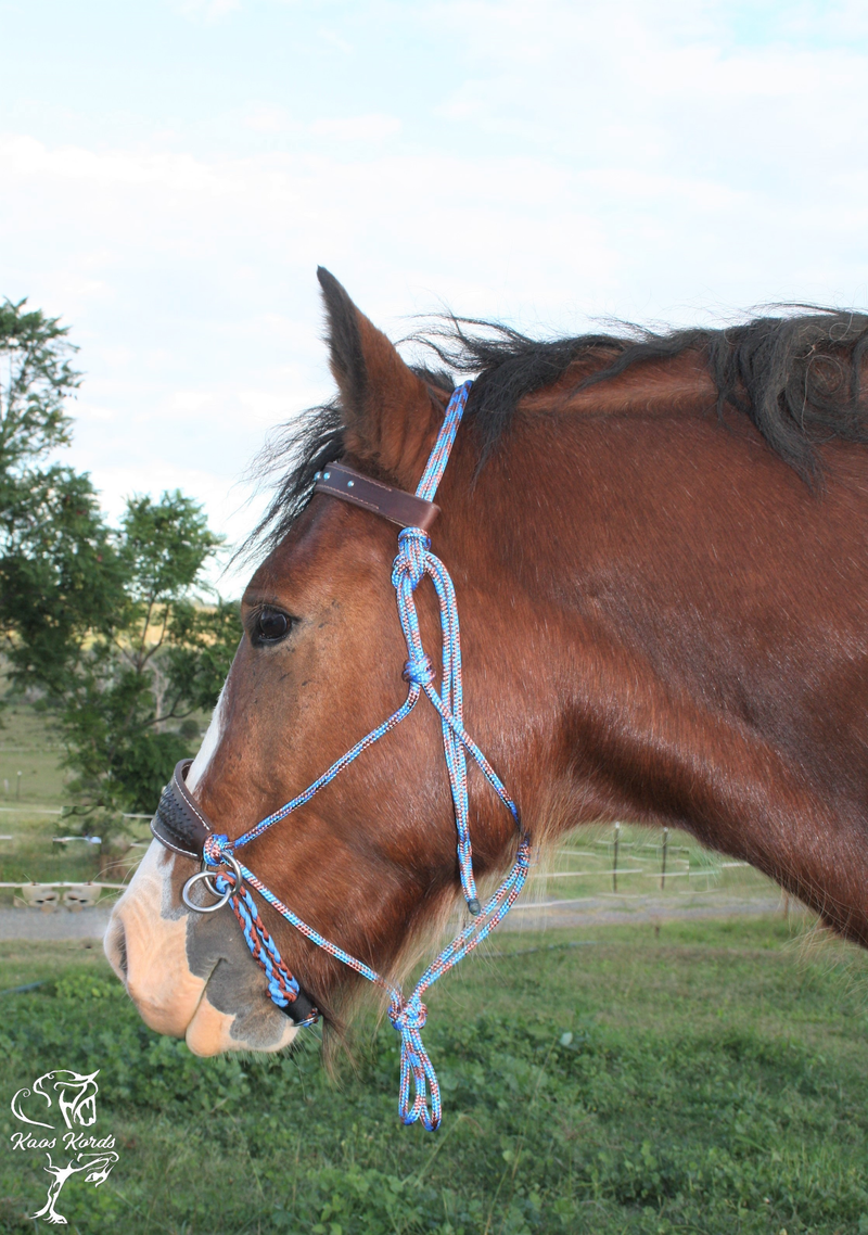 Bitless Bridle With Leather Noseband and Browband