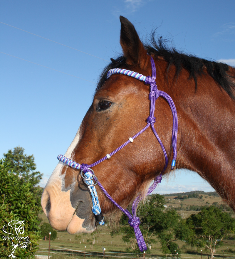 rope bitless bridle australia