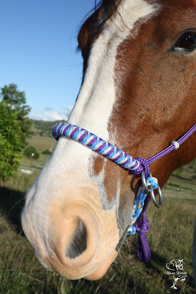 Bitless Bridle With Round Braid