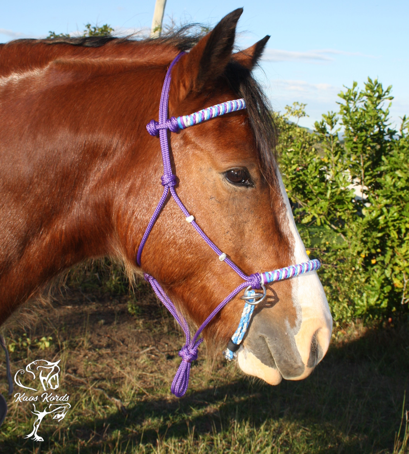 bitless bridle australia rope