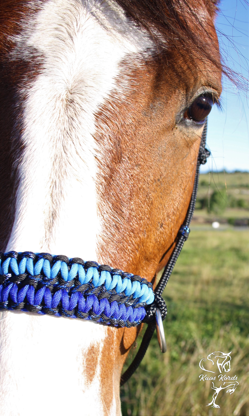 Side Pull/Riding Halter With Double Cobra Braid. With or Without Chinstrap