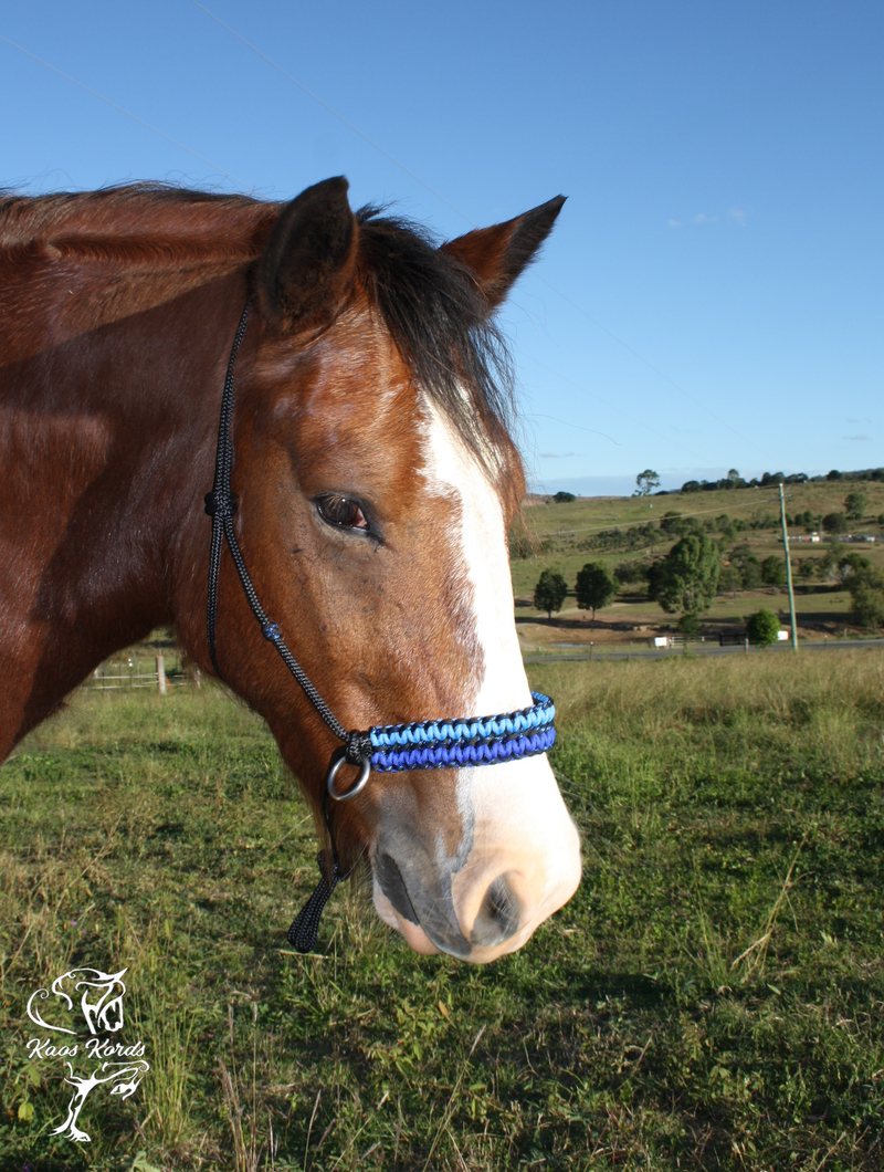 Side Pull/Riding Halter With Double Cobra Braid. With or Without Chinstrap