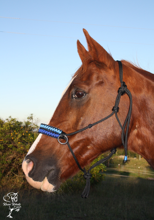 Side Pull/Riding Halter With Double Cobra Braid. With or Without Chinstrap