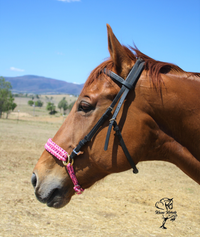 Bridle To Bitless Noseband Converter