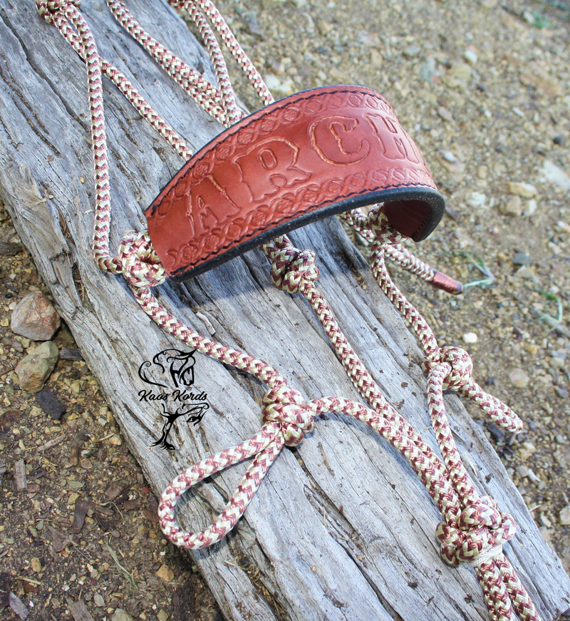 Loop Rein Attachment Side pull/Riding Halter With Leather Name Noseband  No Rings