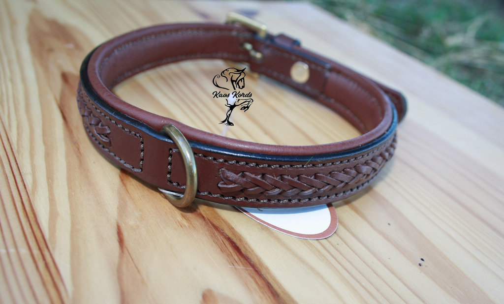 Laced leather dog collar