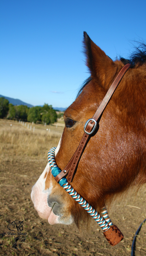Bosal