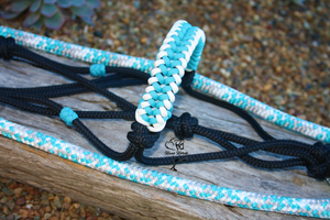 turquoise horse halter