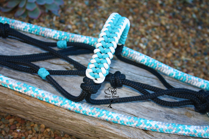 turquoise horse halter