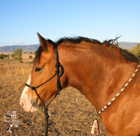 horse neck rope australia